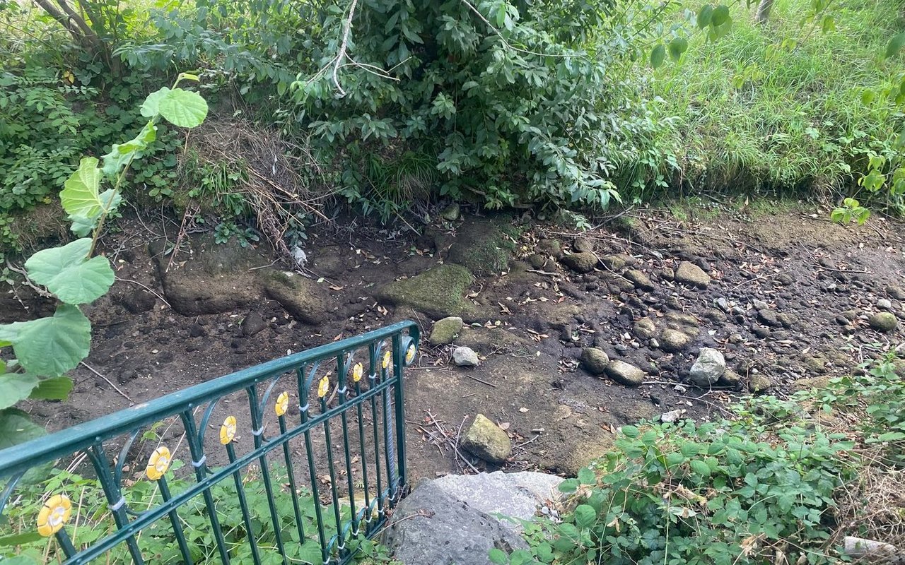 So überlebt kein Fisch: Der Stägbach in Baldegg (LU) am 1. August 2026. 