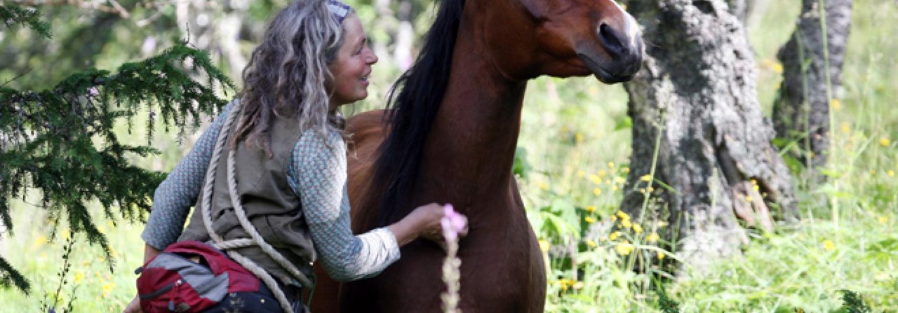 Es ist hilfreich, regelmässig einfach nur Zeit mit dem Pferd auf der Weide zu verbringen, ohne es einfangen zu wollen.