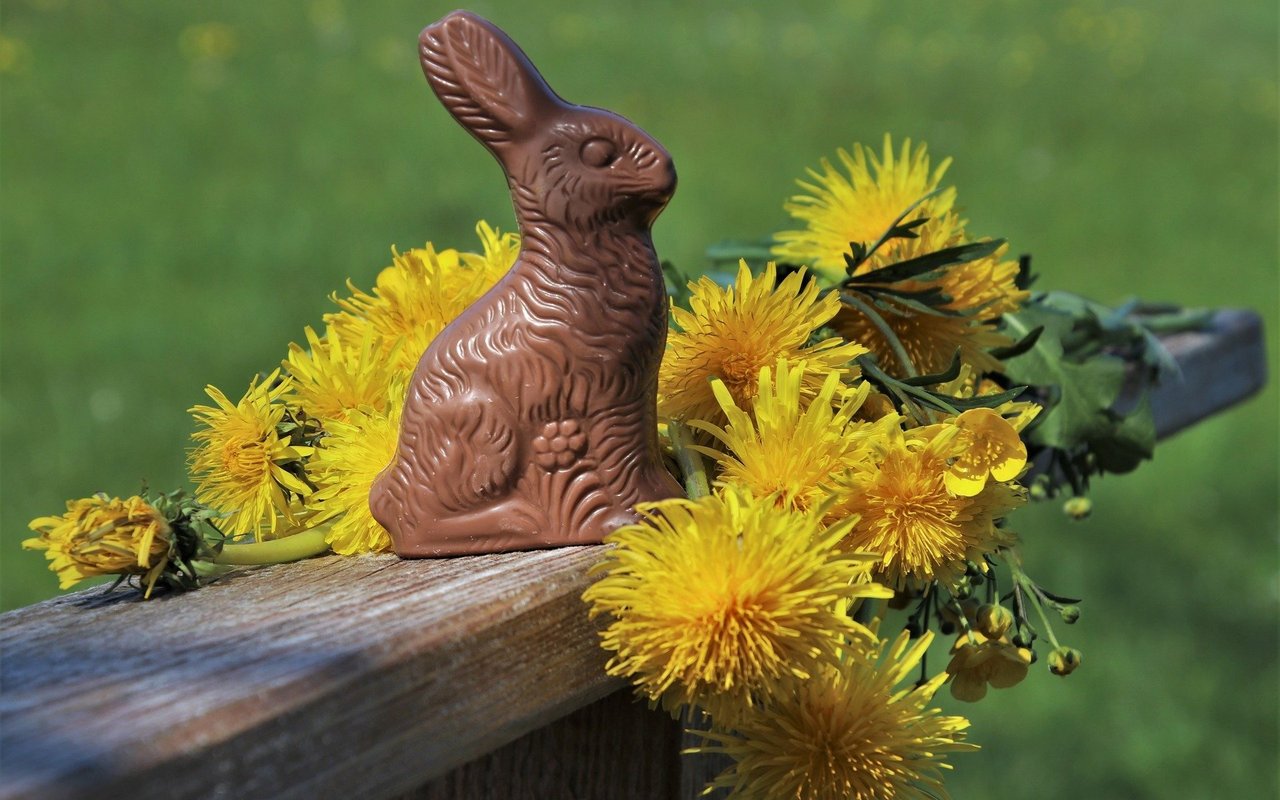 Der Schokoladenhase steigerte die Popularität des Osterhasen-Mythos im 19. Jahrhundert.