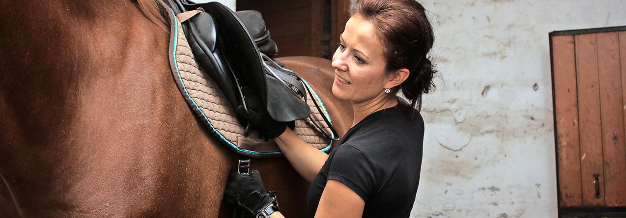 Das Festziehen des Sattelgurtes sollte dem Pferd so angenehm wie möglich gemacht werden.