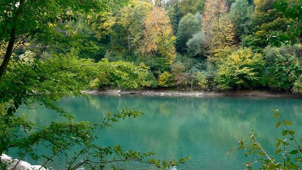 Eine andere Welt bei Bern: Die Aareschlaufe um die Engehalbinsel.