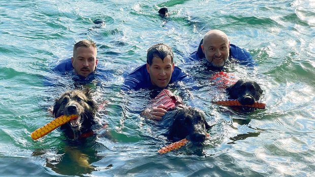 Mensch und Hund bilden bei der Wasserrettung ein Team. Beim Training steht der Spass im Vordergrund.