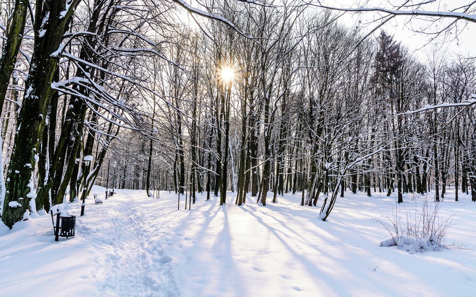 ewegung in kühler, klarer Luft senkt das Stresshormon Cortisol und fördert die Ausschüttung von Serotonin.