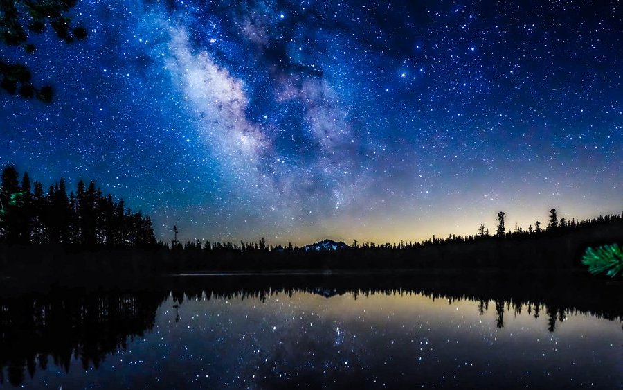 Schwimmen im See bei Nacht - ein unvergessliches Erlebnis für die Biologin.