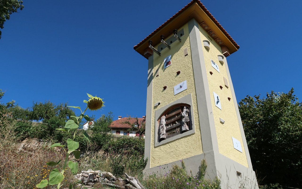 Artenschutzturm bei Walperswil (BE)