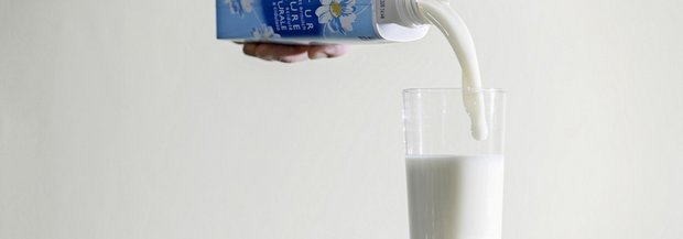 Buttermilch für Tauben