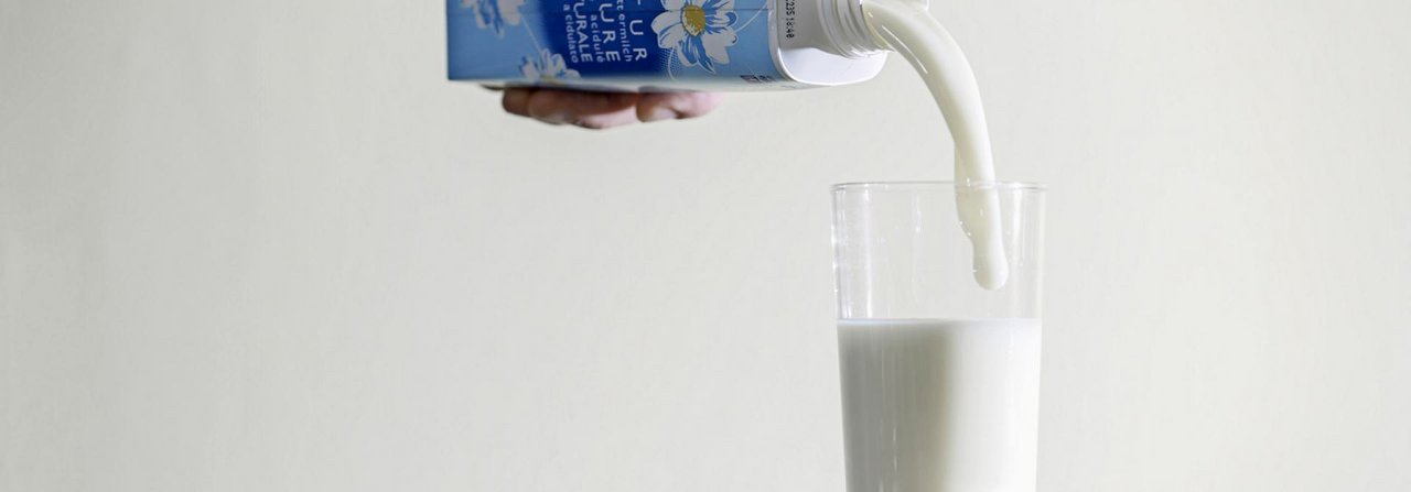 Buttermilch mit Wasser vermischt unterstützt die Darmflora und damit das Wohlbefinden der Tauben