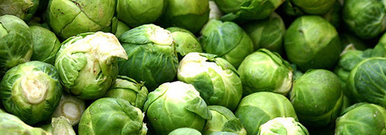 Der Erzfeind in der Küche: Kaum ein Gemüse kennt so viele Verächter wie der Rosenkohl.