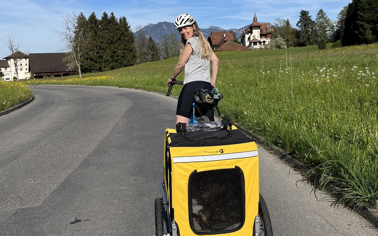 Während vorne gestrampelt wird, hat es Frieda im Hänger gemütlich.