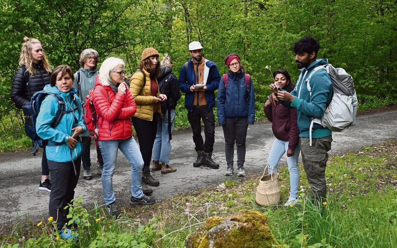 Alle paar Meter bleibt die Gruppe stehen, um einen neuen Fund zubestaunen. Hier: das Wiesen-Schaumkraut.