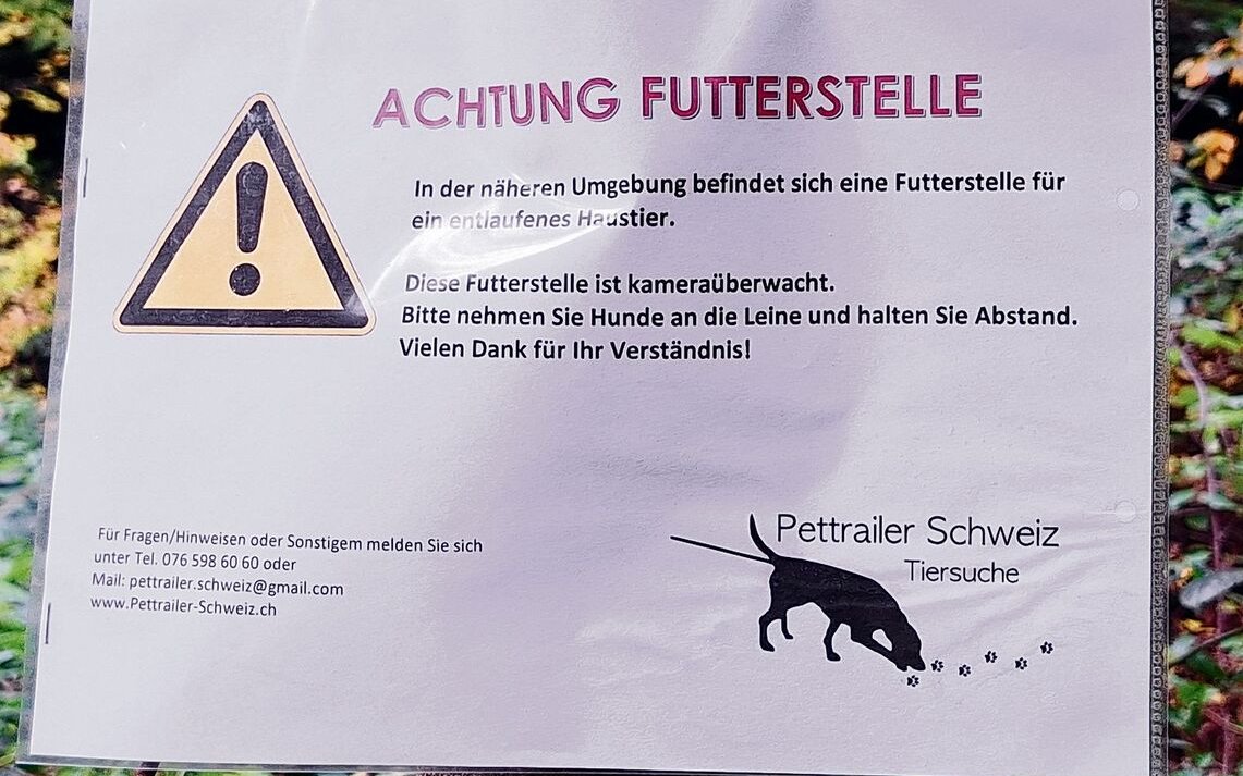 Dieser Flyer machte Passantinnen und Passanten im Könizbergwald bei Bern auf die entlaufene Hundedame Kari aufmerksam.