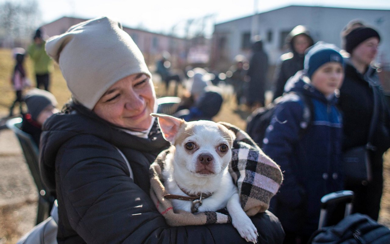 Eine Ukrainerin mit ihrem Hund. 