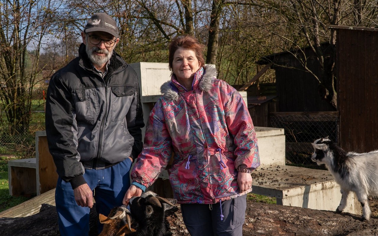 Bruno und Trudi Wenger halten seit mehr als 20 Jahren Zwergziegen zu Hause.