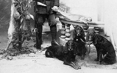 Bereits 1925 treue Jagdgefährten: Frédéric Jost aus Delémont mit seinen Jura Laufhunden.