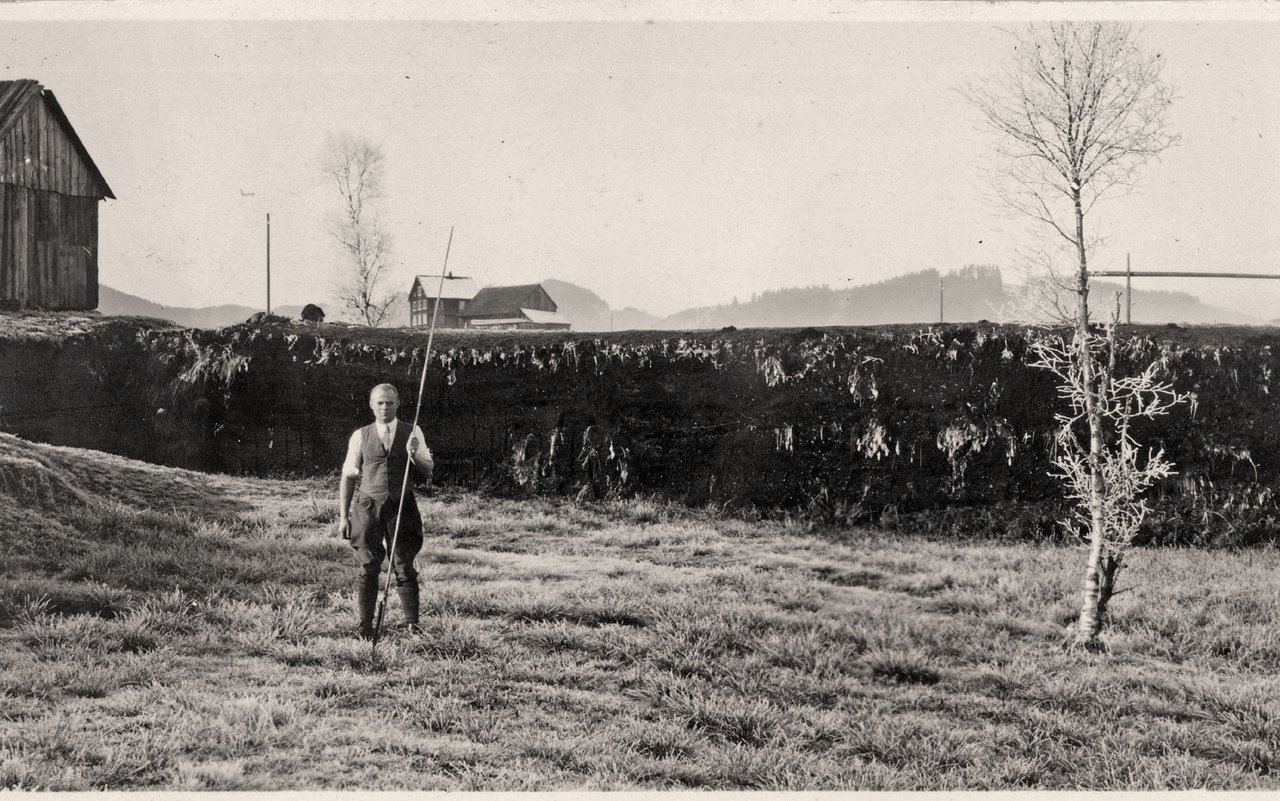 Eine Torfstierkante im Einsiedler Moor (zwischen 1901 und 1908)