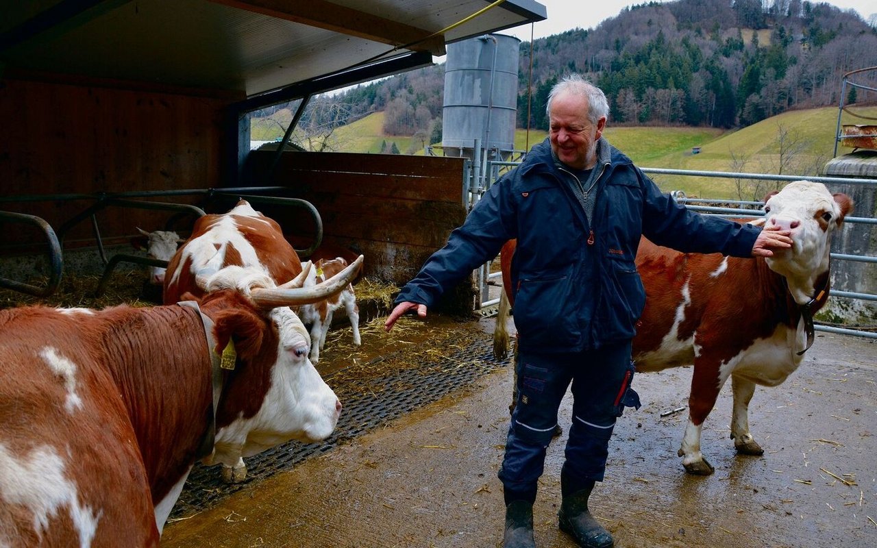 Andreas Schneider achtet auf eine gute Beziehung zu seinen Hinterwälder Kühen. Die Rasse entspricht seinen Ansprüchen bestens.