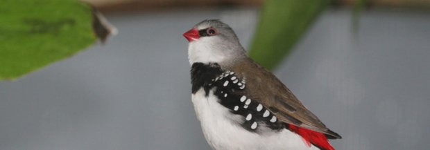 IMG_8092.JPG