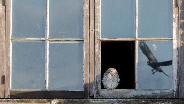 TTL Nature Photographer of the Year