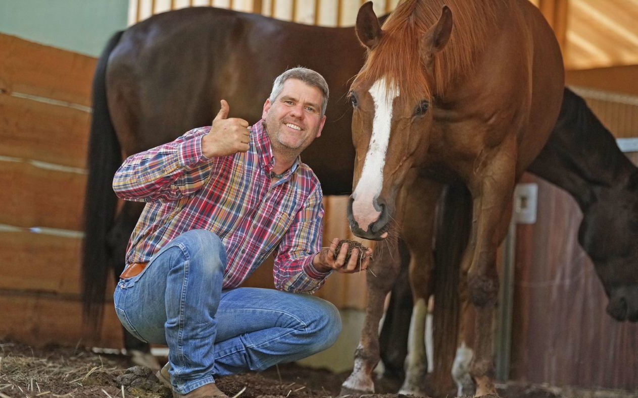 Pferdetrainer Bernd Hackl kommt in die Schweiz. 