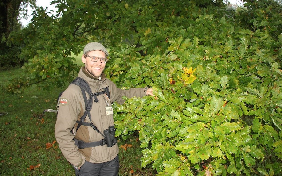 Der Ranger Yannick Bucher kennt den Eichenwald von Wildenstein bestens und hält sich regelmässig dort auf. 