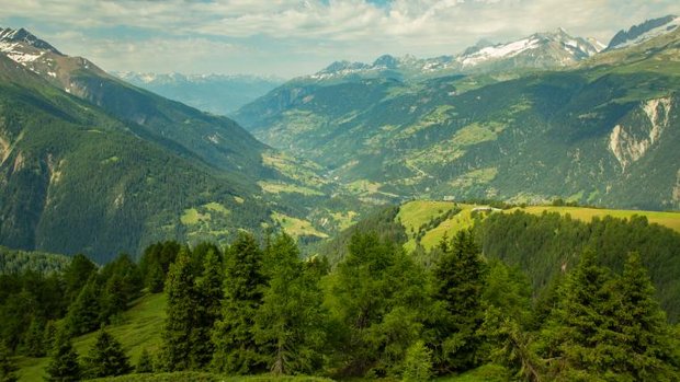 Blick auf Wald und Berge in der Schweiz
