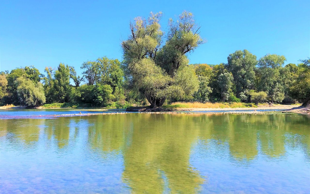 Die eigentümliche Landschaft des Wasserschlosses, hier am Limmatspitz.