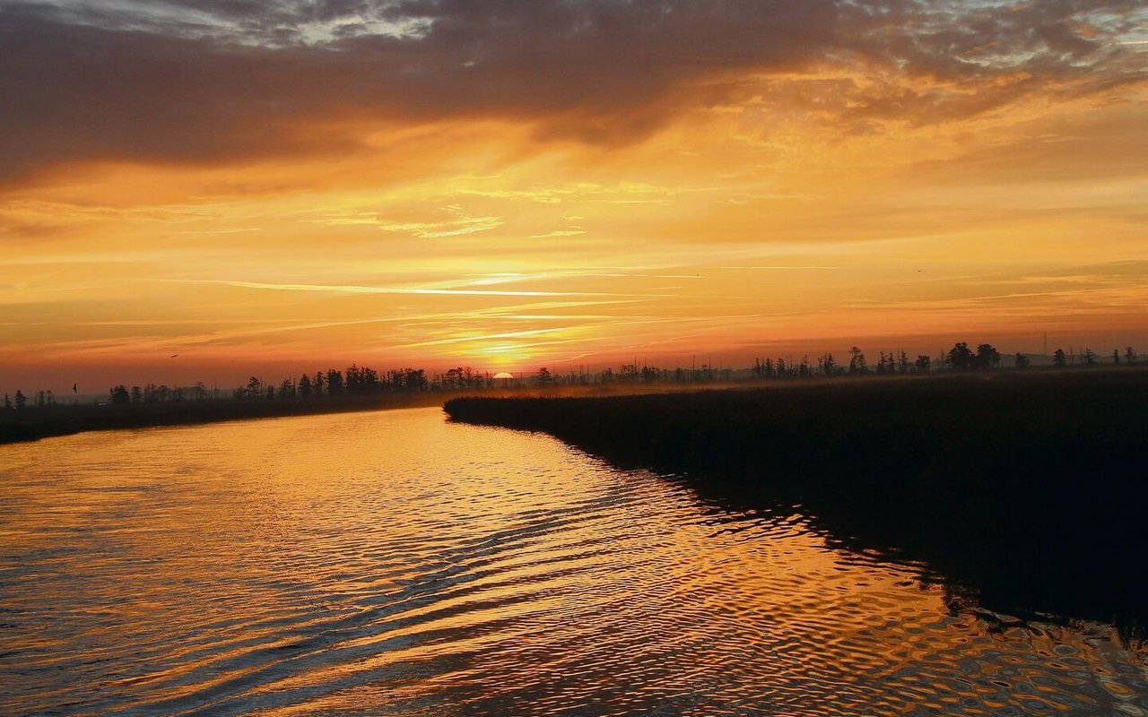 Auf dem «Amazonas des Nordens», der Peene.