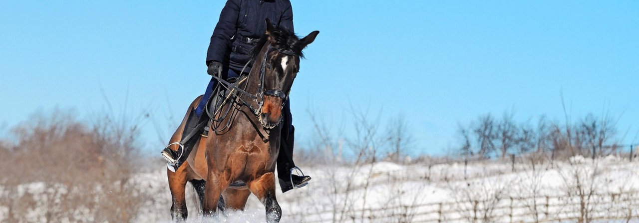 Mit der richtigen Vorbereitung wird das Reiten im Schnee zu einem grossen Vergnügen.