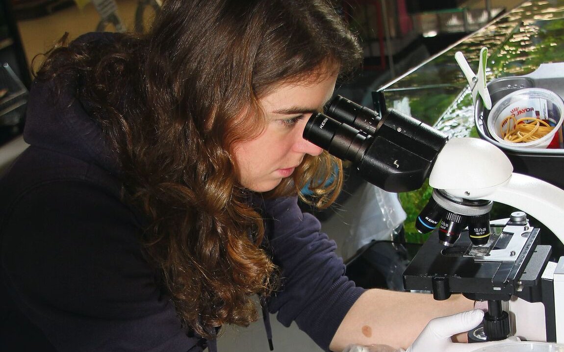 Fischtierärztin Stefania Vannetti mikroskopiert Proben von Schwertträgern, um anschliessend die Fische im Aquarium gezielt behandeln zu können. 