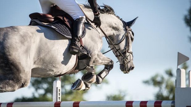 Pferd mit Reiter springt über Hürde