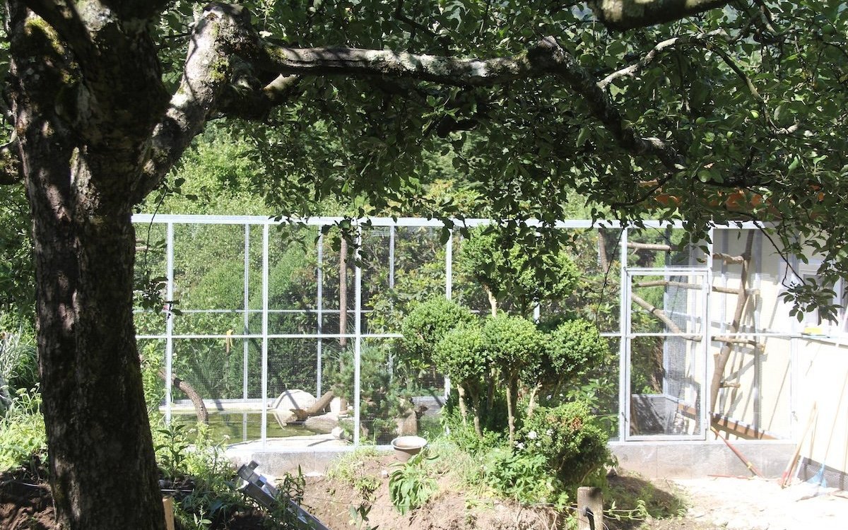 Ein Schmuckstück im Garten. Freivoliere bei Sandro Beckmann, Cordevio (TI). 