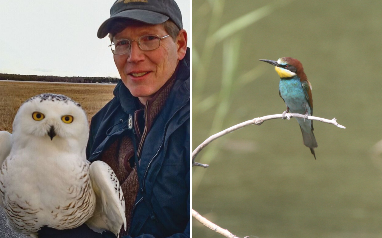 Der Ornithologe und Buchautor Scott Weidensaul mit einer Schnee-Eule. Zugvögel wie rechts der Europäische Bienenfresser sind besonders gefährdet.