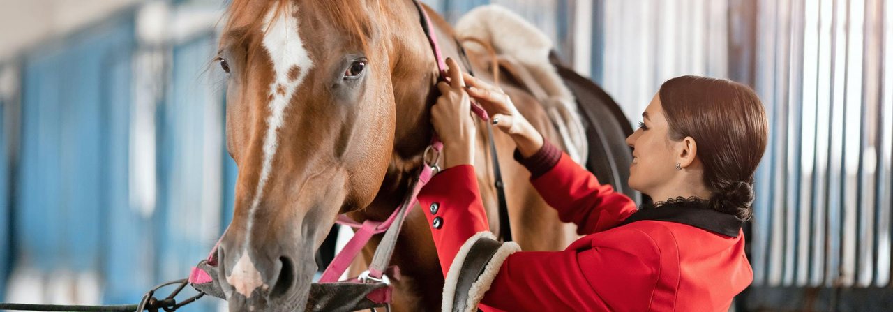 Ein Bewusstsein für die Gefahren im Umgang mit dem Pferd hilft, Unfälle zu vermeiden.