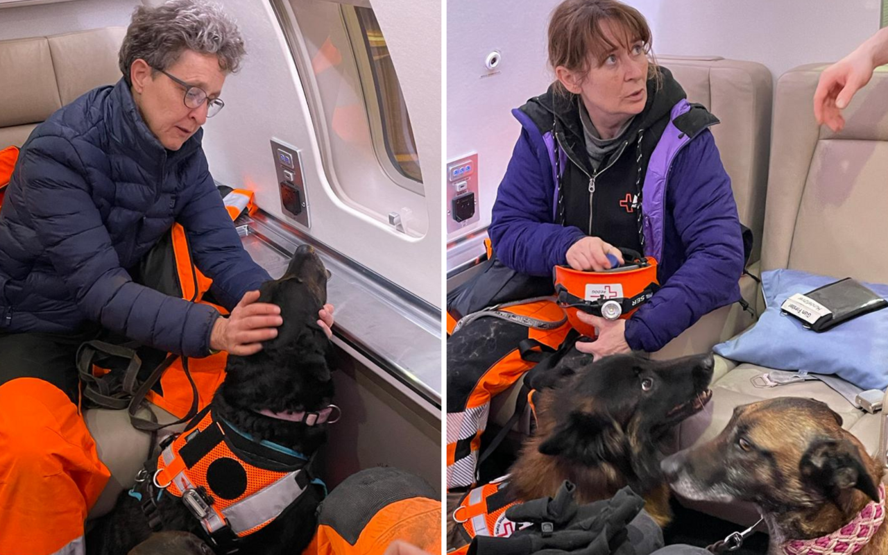 Mit der Rettungskette Schweiz gehen 12 Redog Mitglieder und acht Hunde in den Einsatz.