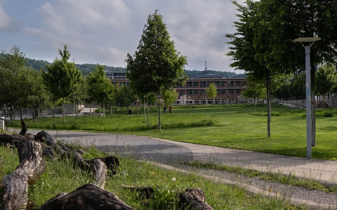 Totholz in Parkanlagen bietet Insekten Lebensraum und Vögeln Nahrung. 