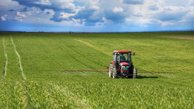 Traktor spritzt Pestizid auf Weizenfeld