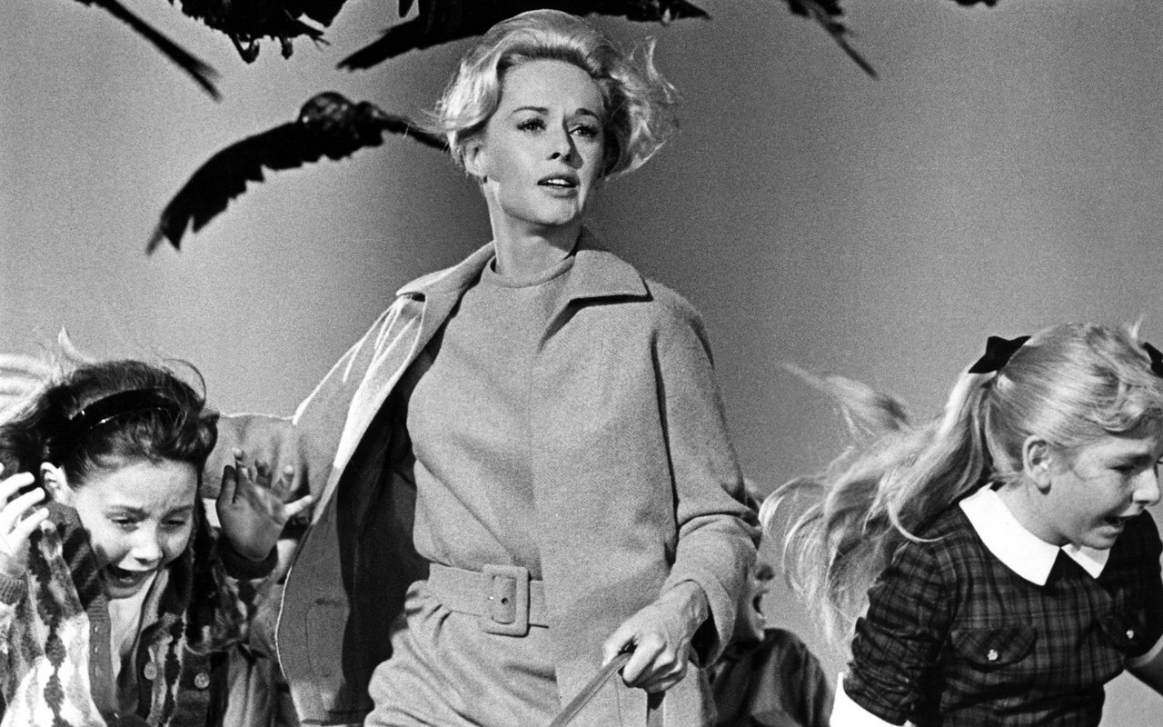 In "Die Vögel" von Alfred Hitchcock machen wildgewordene Vögel den Menschen das Leben schwer.