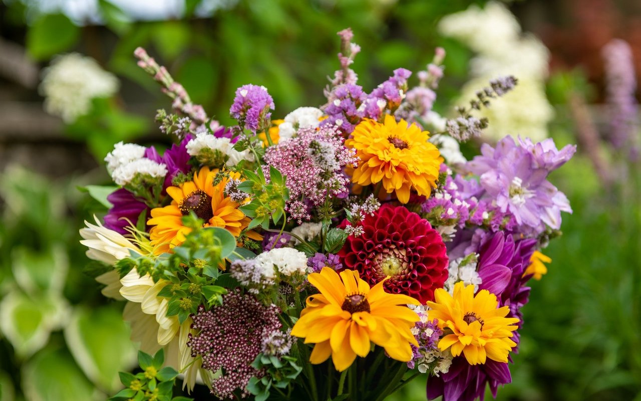 Ein Gespräch mit einem jungen Floristen über Leidenschaft, Natur und neue Perspektiven in seinem Handwerk.