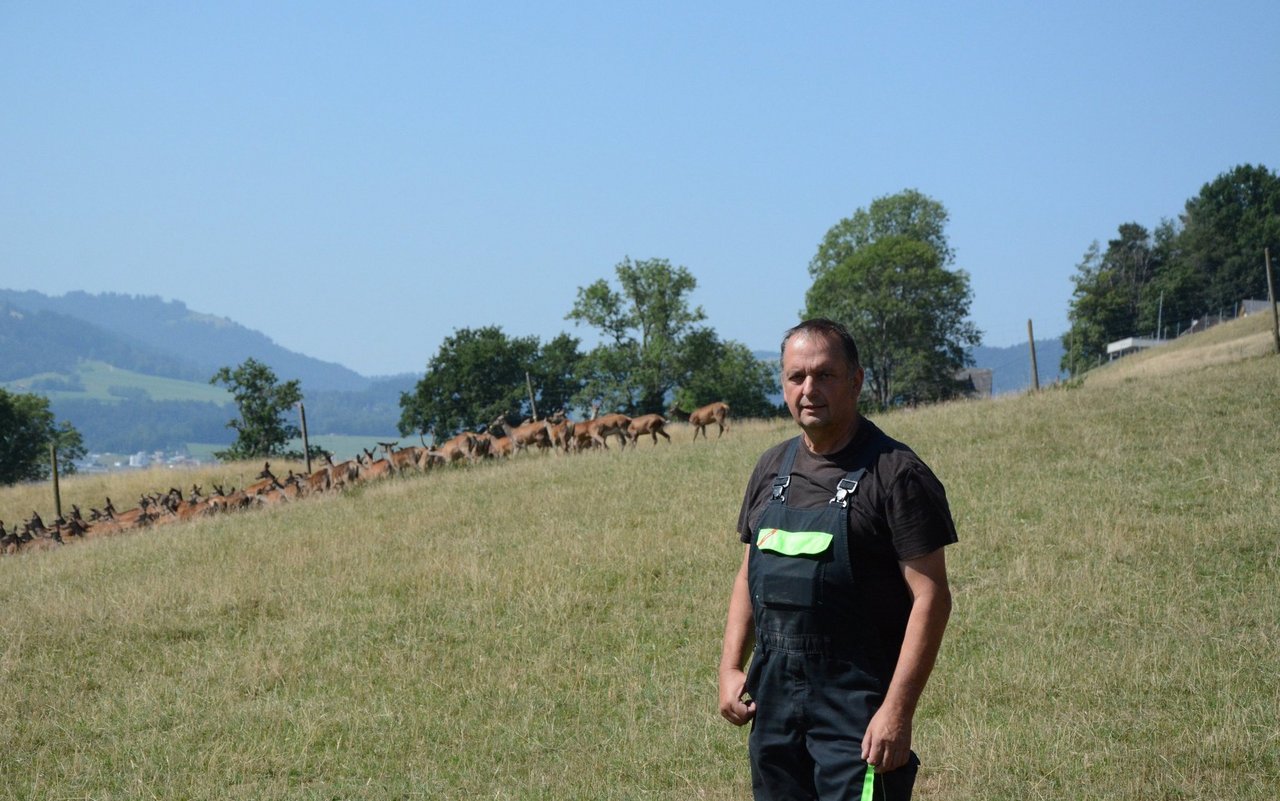 Jean-François kümmert sich mit seinem Team um rund 120 Rothirsche und ihre abgesetzten Jungtiere.