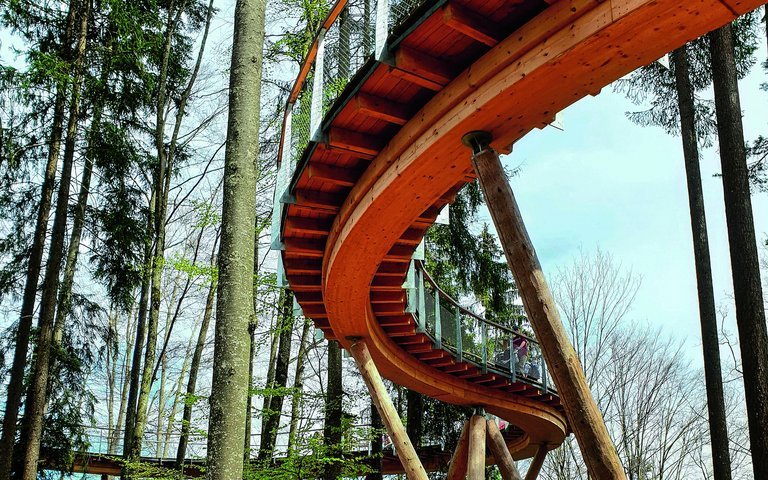 Hoch hinaus auf dem Baumwipfelpfad Neckertal.