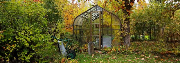Treibhaus im Herbst