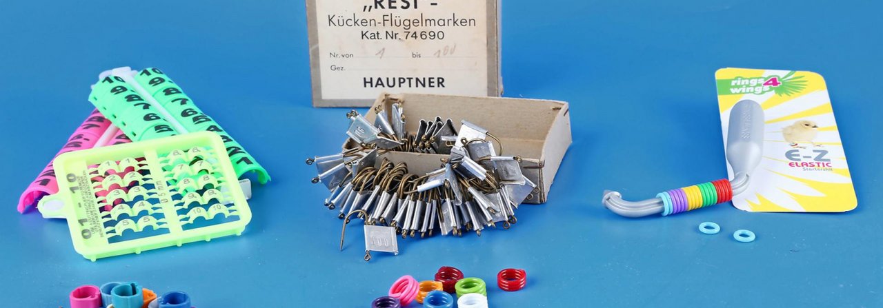 Fussschmuck für die Unterscheidung der Hühner im Hof und für den Nachweis des Stammbaums.