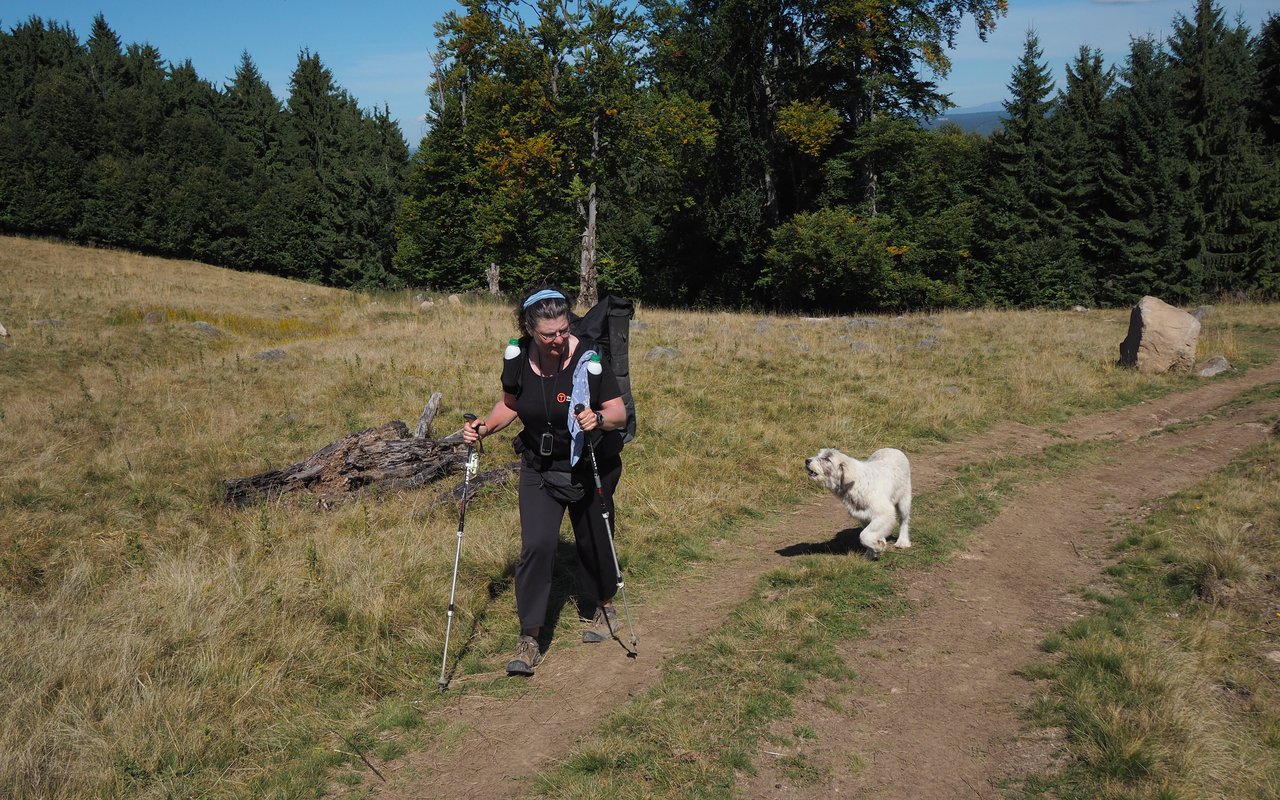 Hundebegegnungen lassen sich auf einer Wanderung kaum vermeiden. Bisher ist Christine Thürmer mit nur einem Biss, ausgerechnet in Schweden, davongekommen.