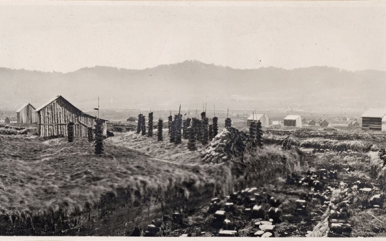 Torfabbau beim Einsiedler Moor (zwischen 1901 und 1908).