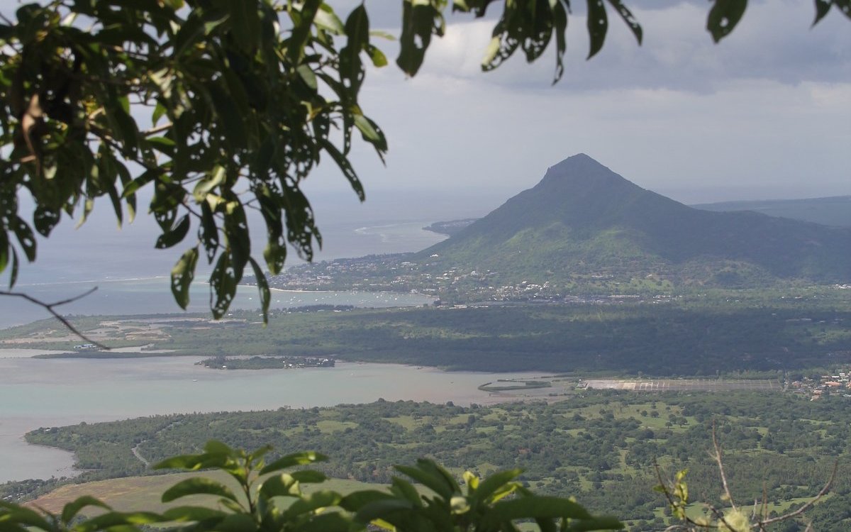 Die Insel Mauritius beherbergt einige endemische Tierarten, manche starben schon aus. 