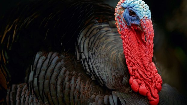 Bildlegende hauptbil Bildlegende hauptbild