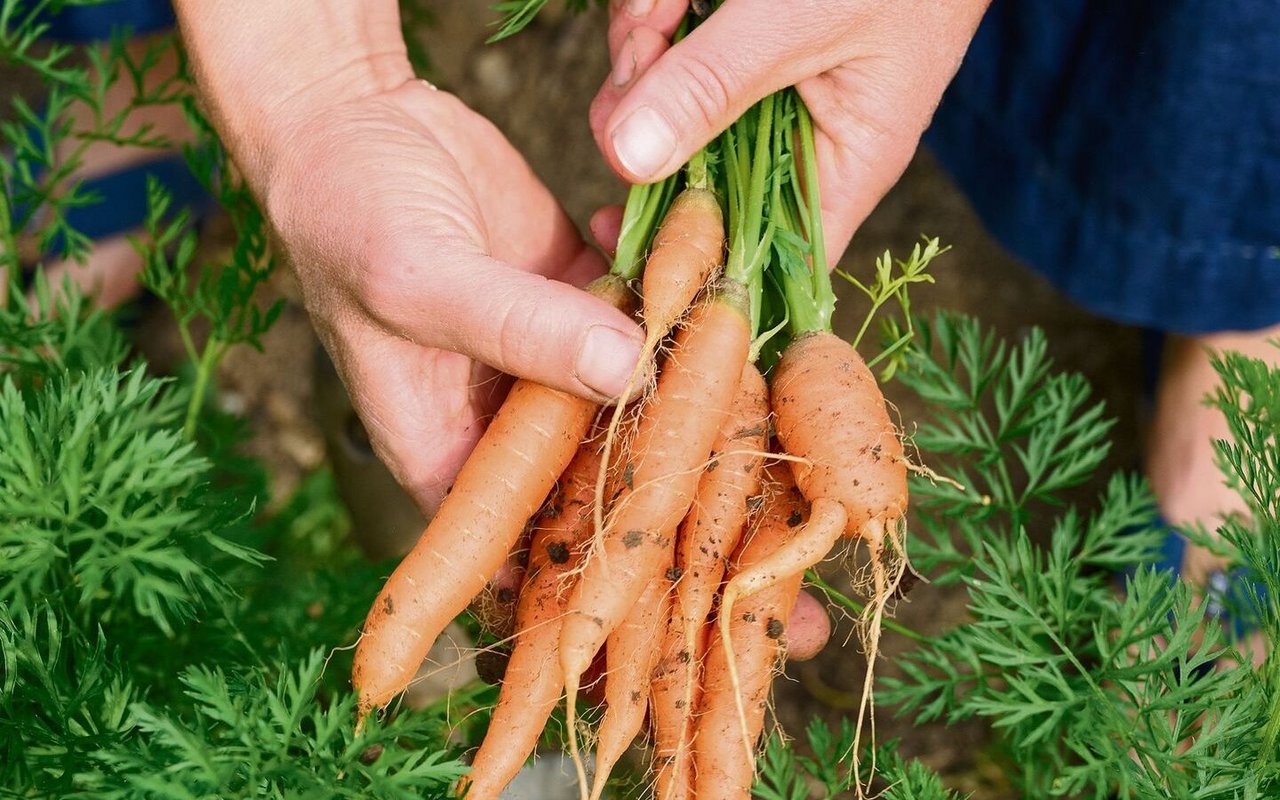 Selber anpacken: Selbsterntegärten schaffen ein Bewusstsein für Natur und Nachhaltigkeit.  