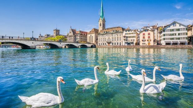 Stadt Zürich mit Schwänen auf der Limmat