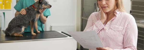 Eine Krankenkasse für Katzen und Hunde - tierwelt.ch | TierWelt