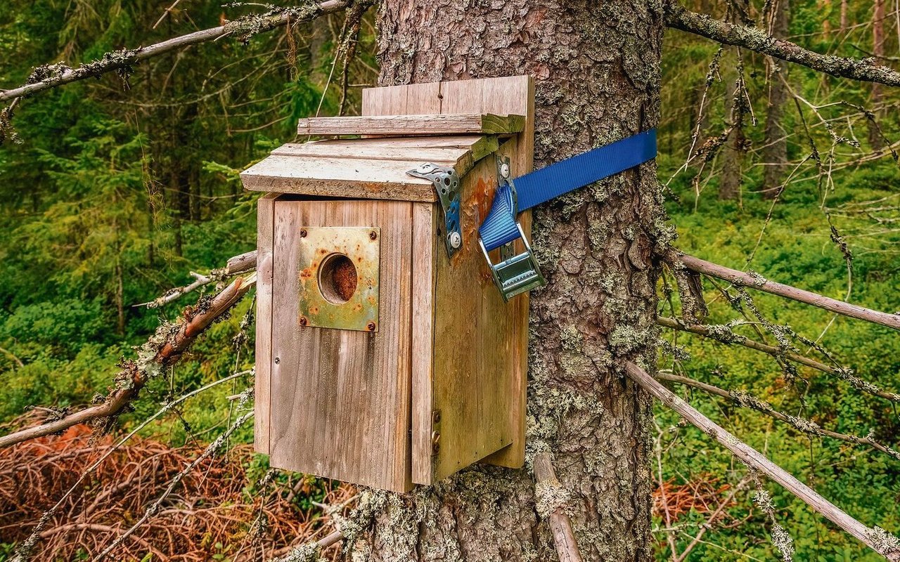 Dies ist kein Vogelhäuschen. 